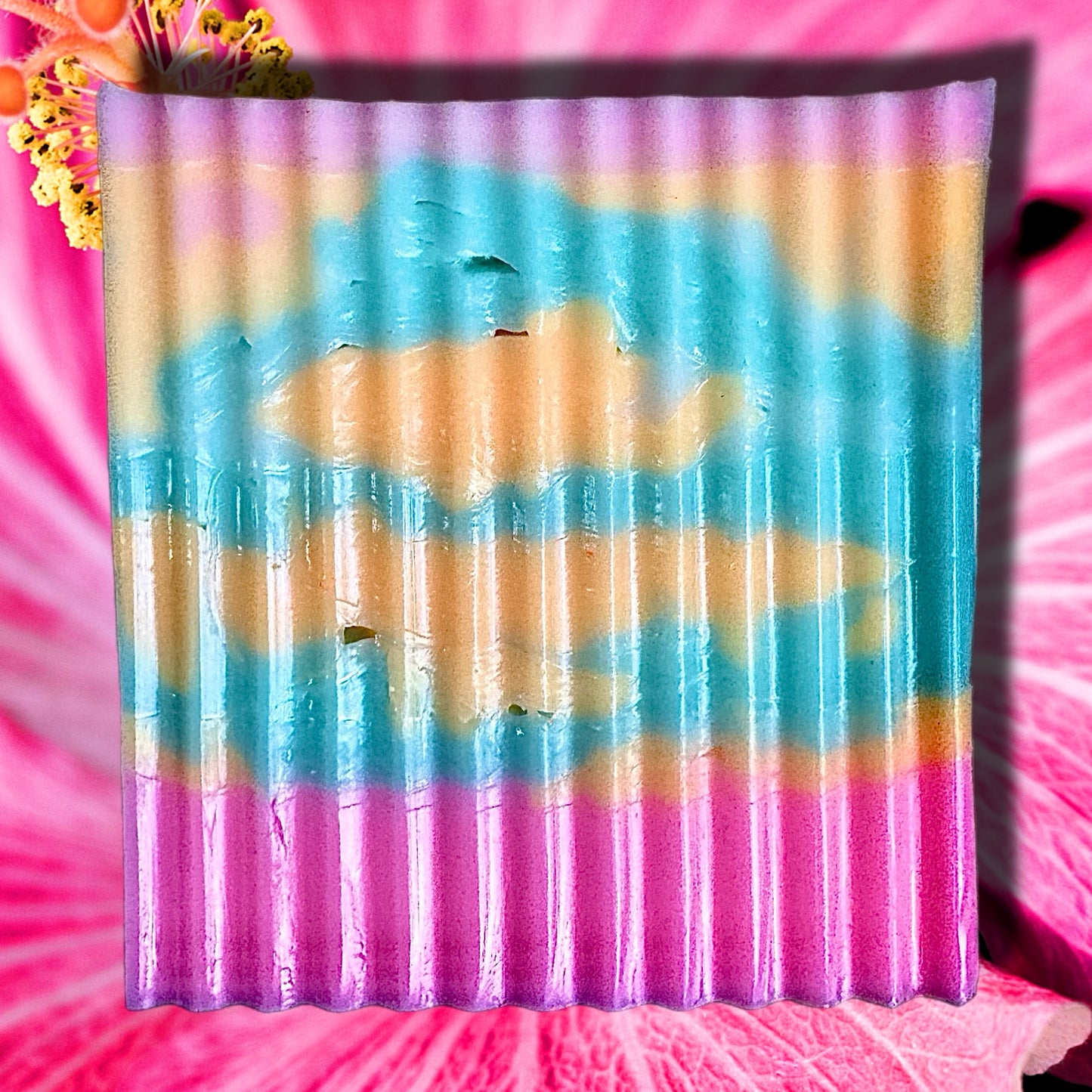 PINK HIBISCUS