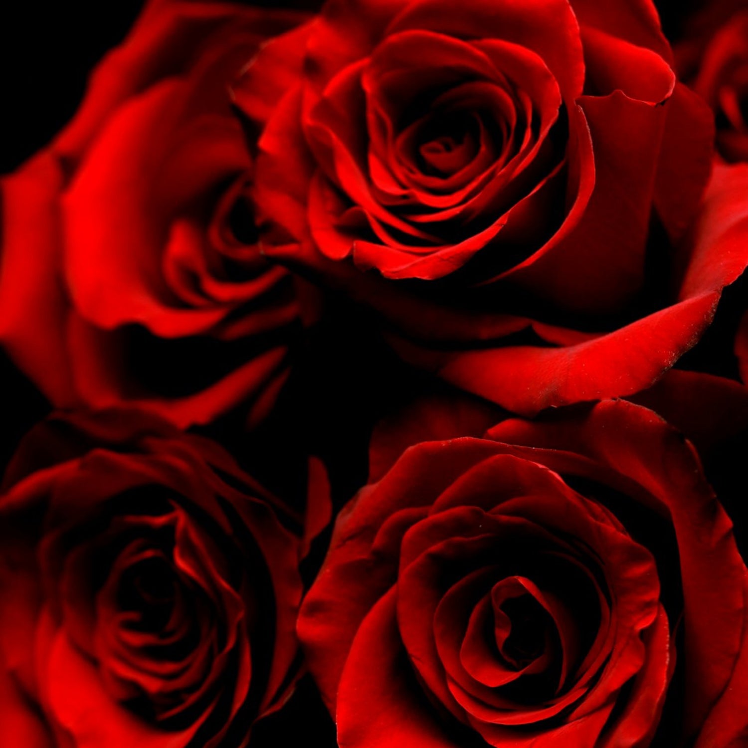 LOVE, ME