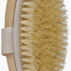 BODY BRUSH